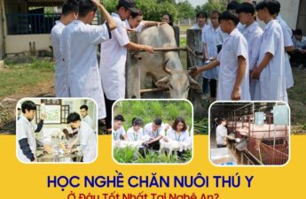 Trường Nào Dạy Nghề Chăn Nuôi Thú Y Ở Nghệ An Tốt Nhất? 2