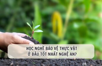 nghề bảo vệ thực vật