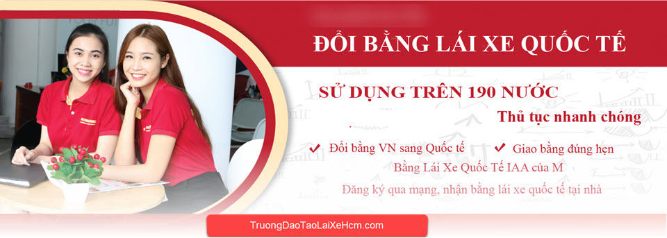 Đổi bằng lái xe Việt Nam cho người nước ngoài bằng cách nào? 15